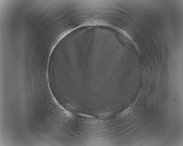 X0000056380943200509232221