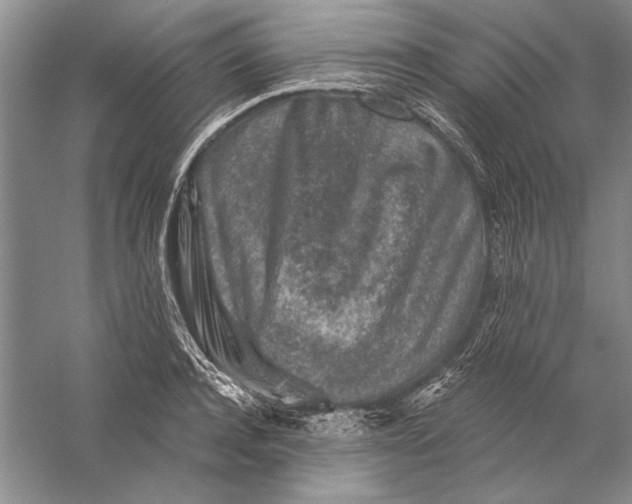 X0000056380944200509232221