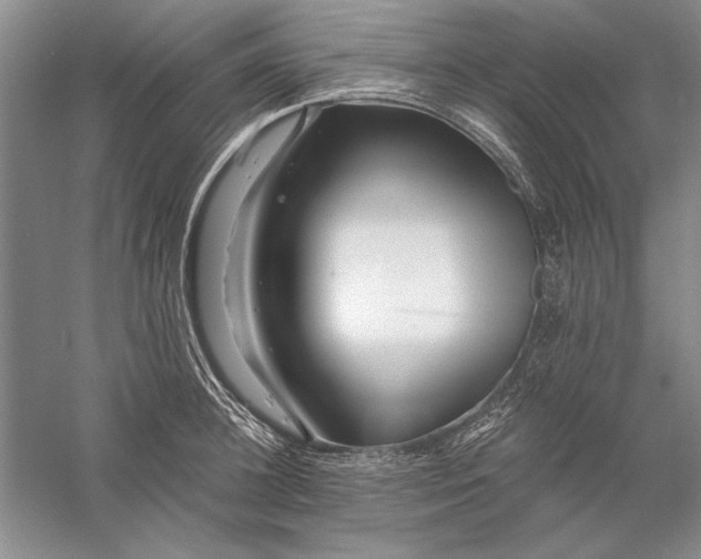 X0000056380948200509232221