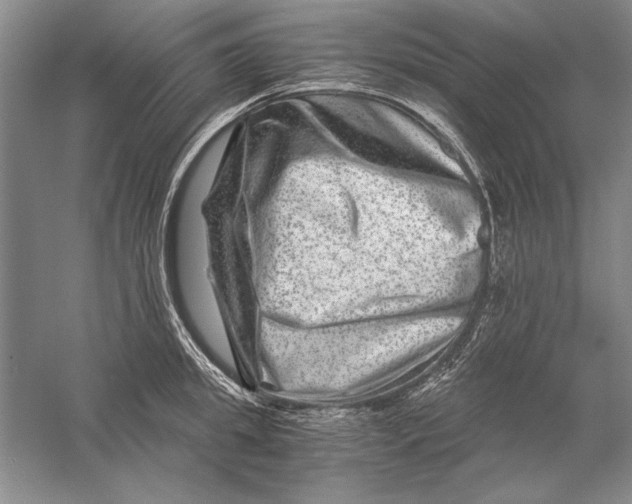 X0000056380949200509232221