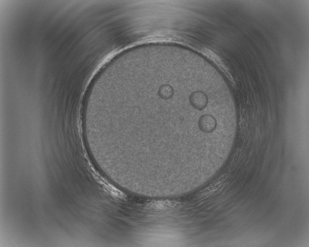 X0000056380950200509232221