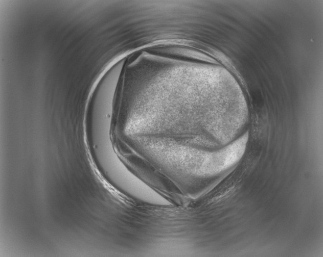 X0000056380955200509232221