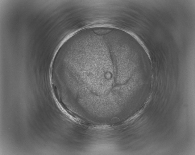 X0000056380957200509232221