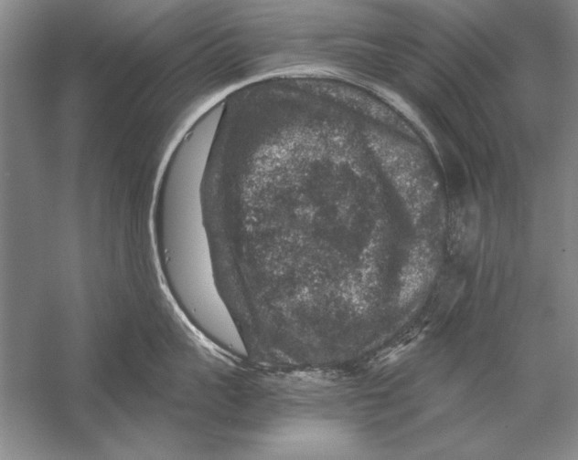 X0000056380959200509232221