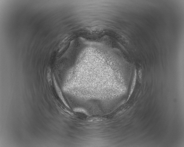 X0000056380963200509232220