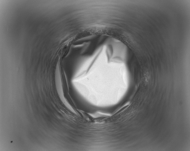 X0000056380964200509232220