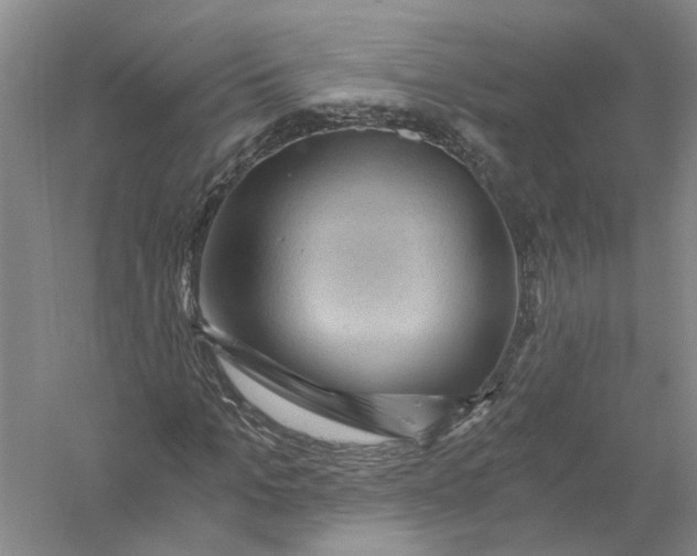 X0000056380965200509232220