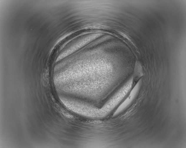 X0000056380971200509232220