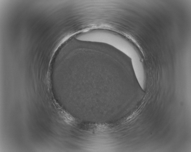 X0000056380975200509232220