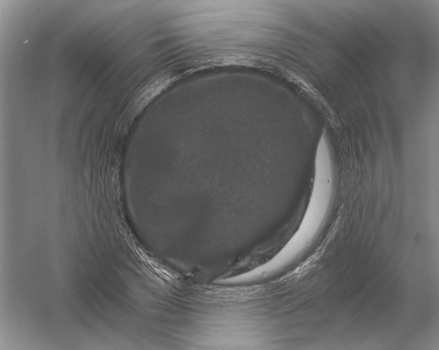 X0000056380977200509232220