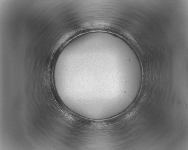 X0000056380978200509232220