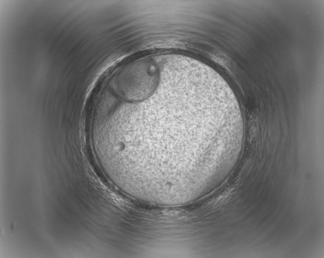 X0000056380979200509232220