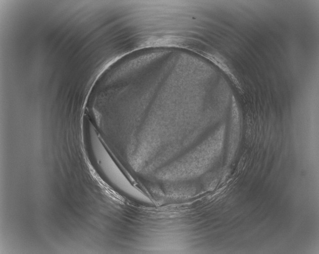 X0000056380980200509232220