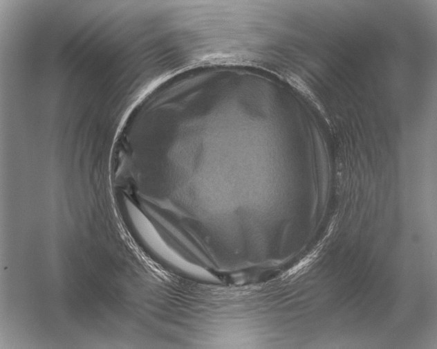 X0000056380981200509232220