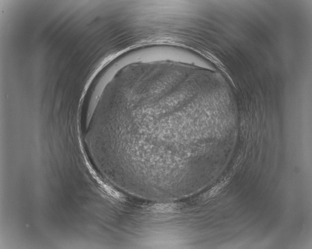 X0000056380989200509232220