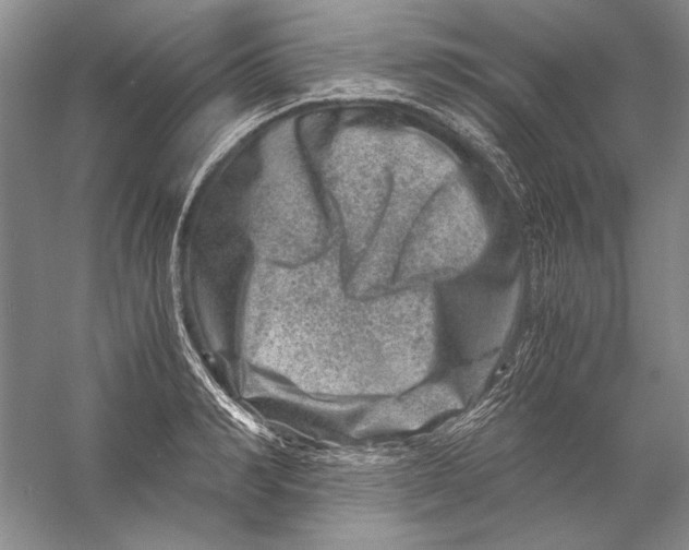 X0000056380990200509232220