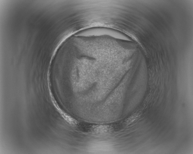 X0000056380991200509232220