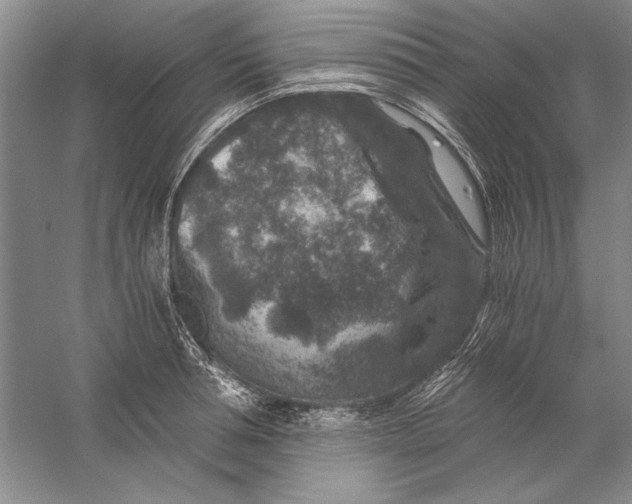 X0000056380994200509232220