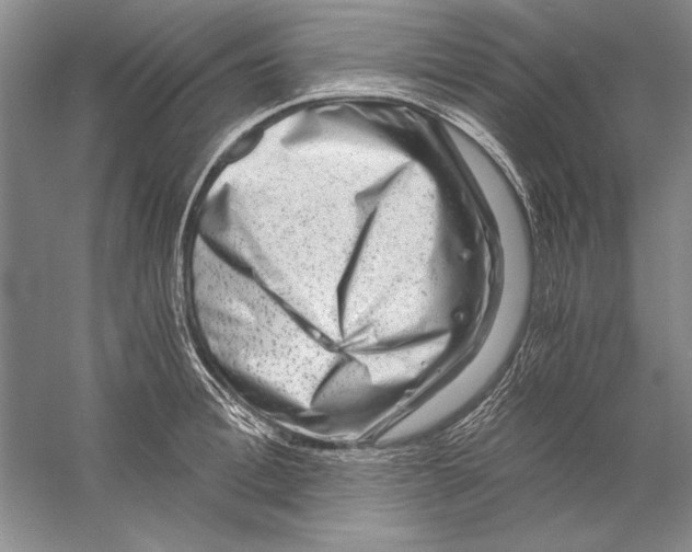 X0000056380996200509232220