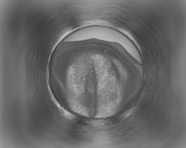 X0000056380999200509232220