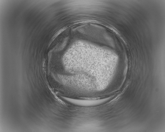 X0000056381001200509232220