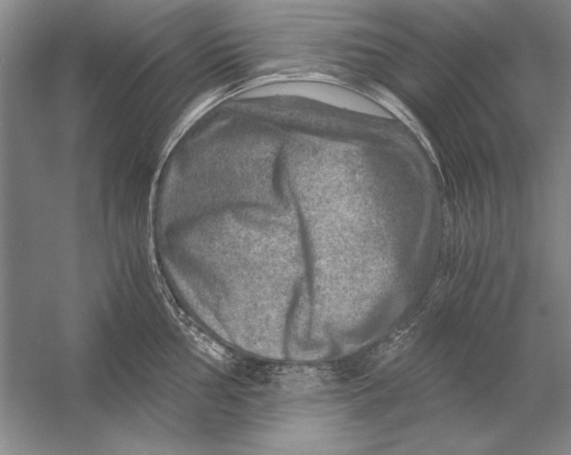 X0000056381002200509232220