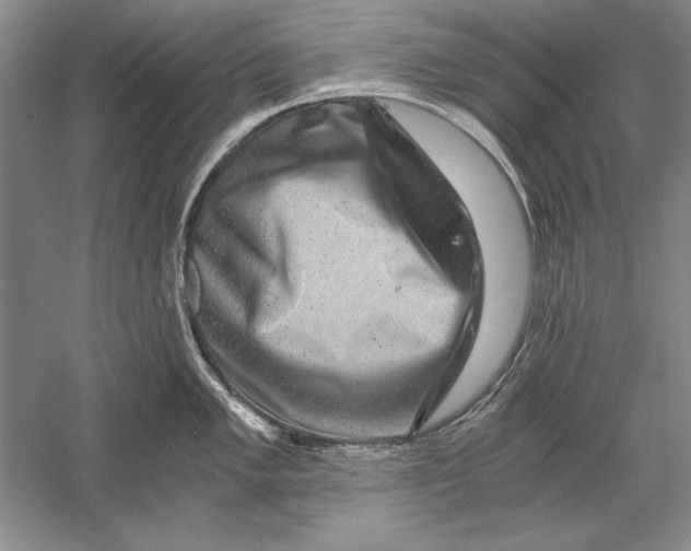 X0000056381005200509232220