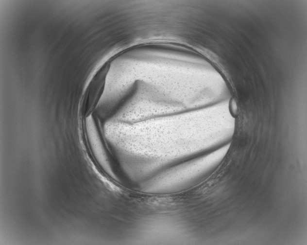 X0000056381006200509232220