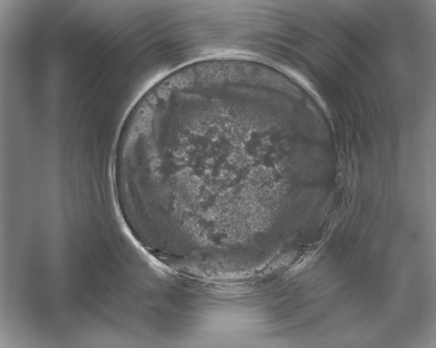 X0000056381007200509232220