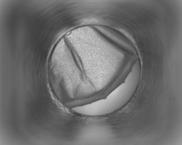 X0000056381008200509232220