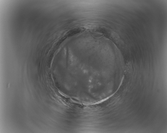 X0000056381009200509232219