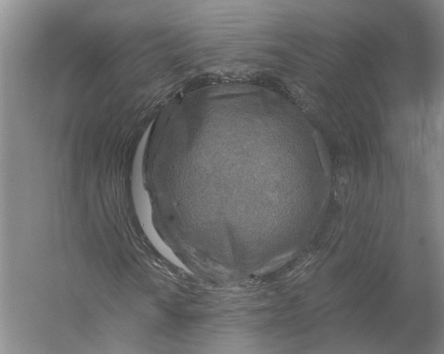 X0000056381010200509232219