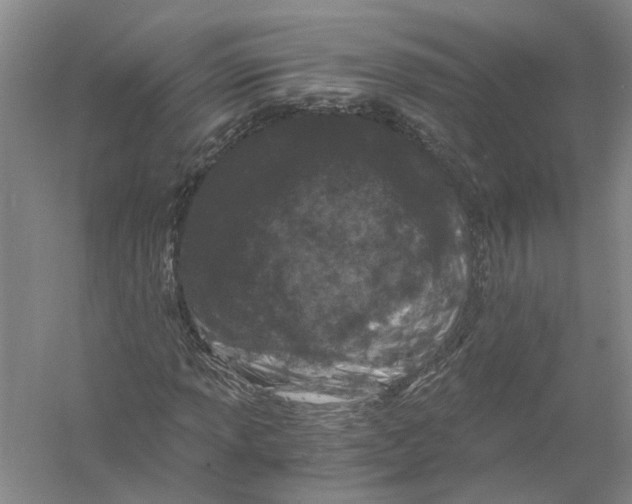 X0000056381013200509232219