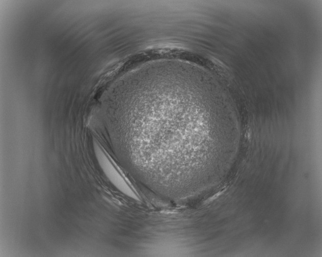 X0000056381014200509232219