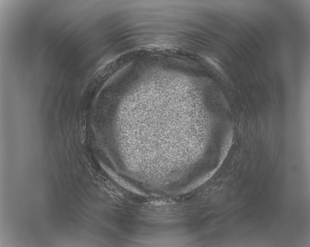 X0000056381015200509232219