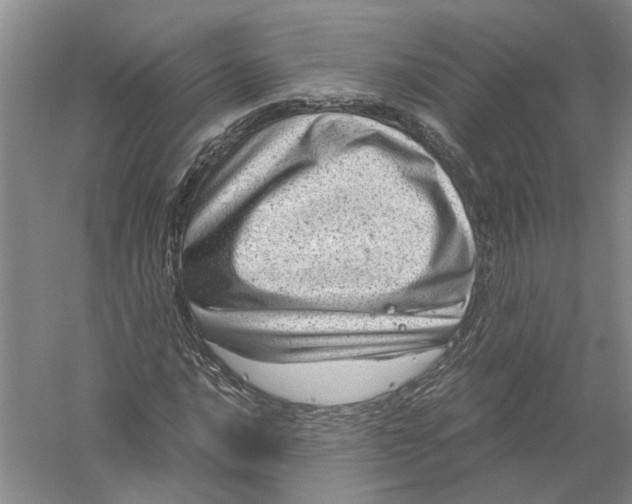 X0000056381016200509232219