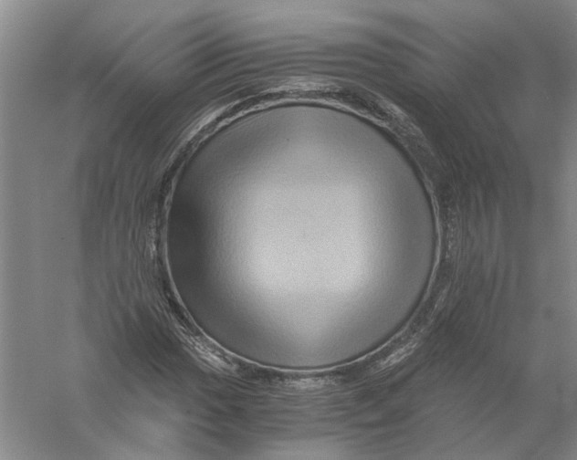 X0000056381017200509232219