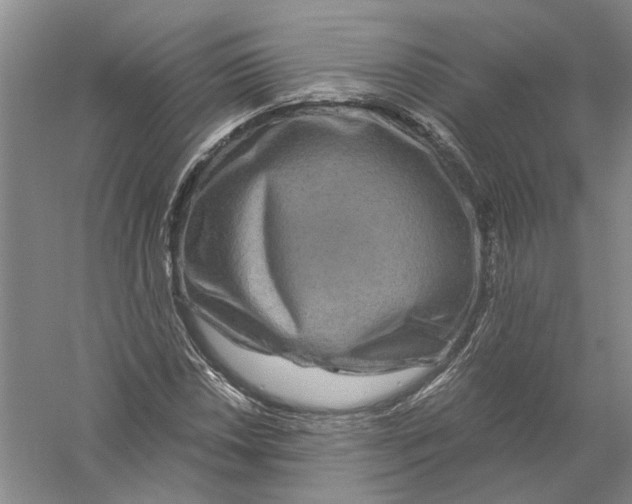 X0000056381018200509232219