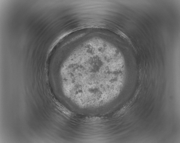 X0000056381019200509232219