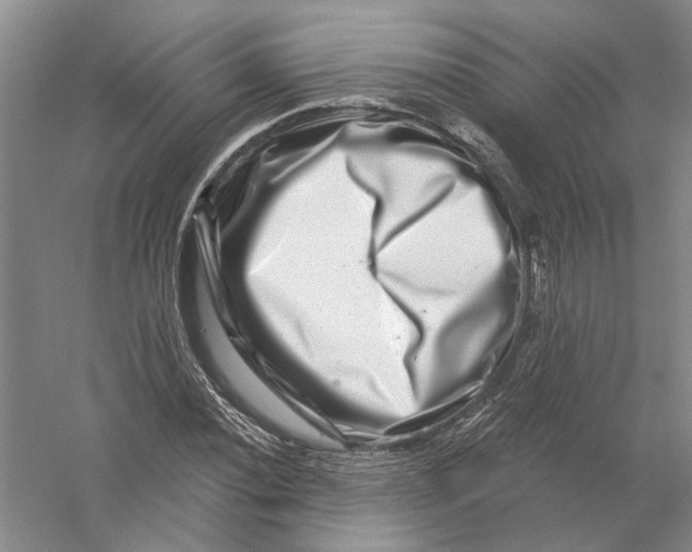 X0000056381020200509232219