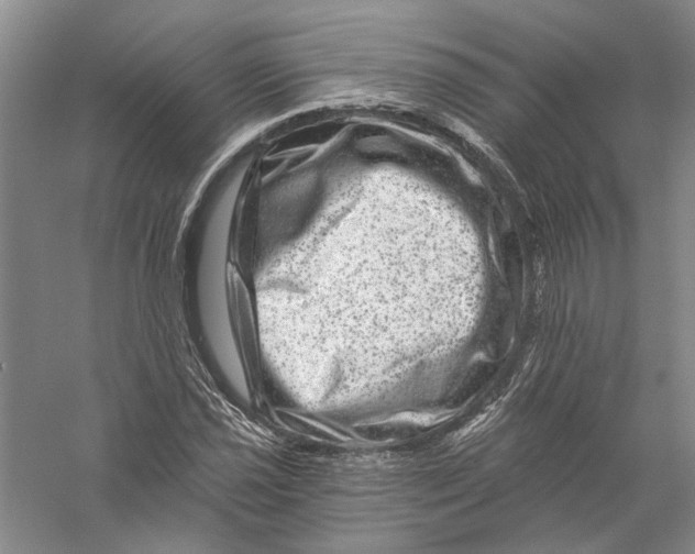 X0000056381021200509232219