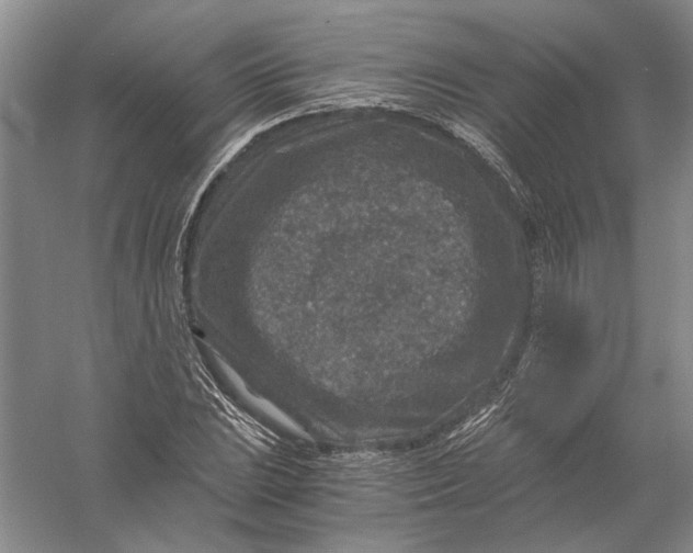 X0000056381023200509232219