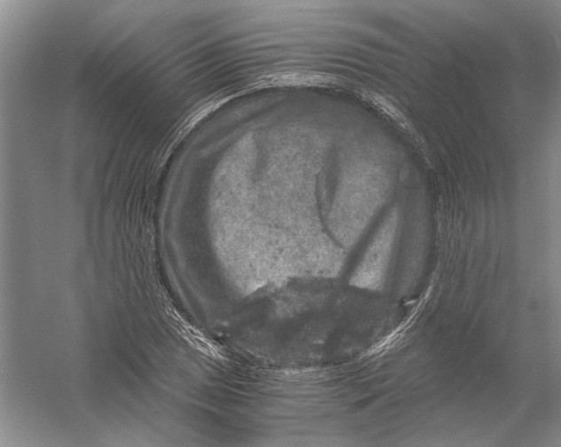 X0000056381025200509232219