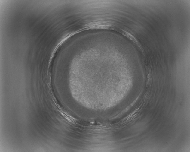 X0000056381027200509232219