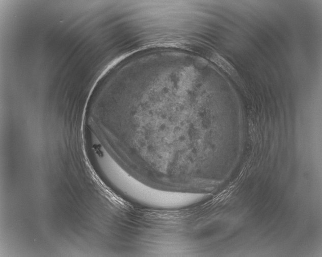 X0000056381028200509232219