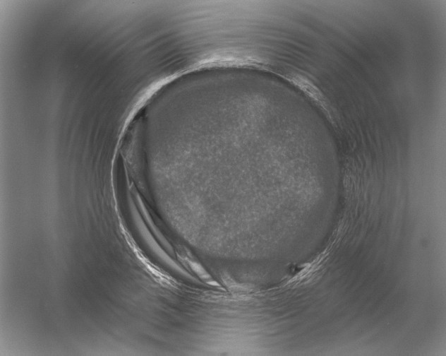 X0000056381030200509232219