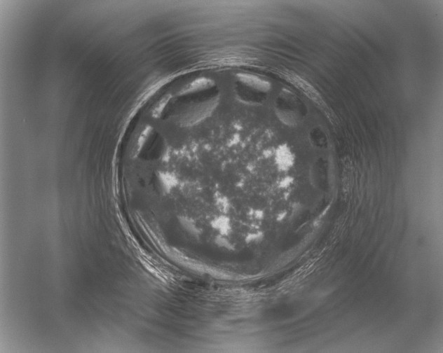 X0000056381031200509232219