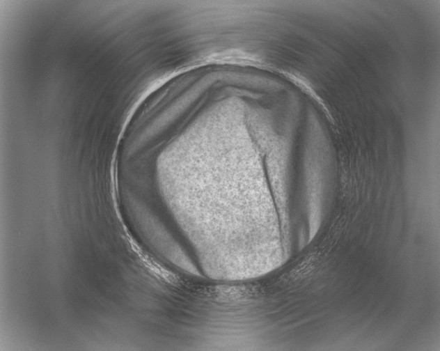 X0000056381032200509232219