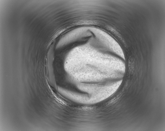 X0000056381033200509232219