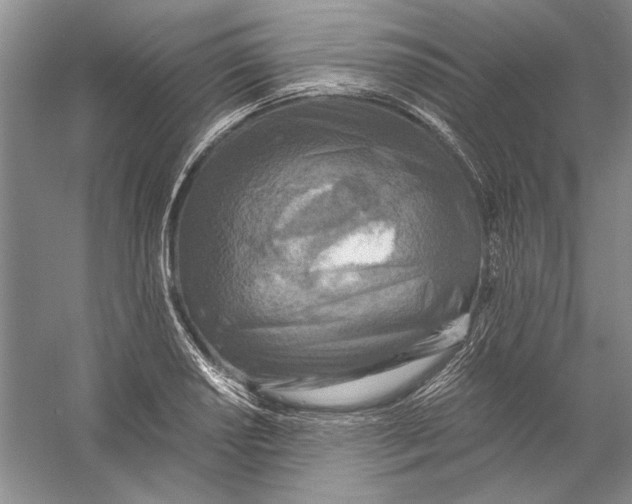 X0000056381034200509232219